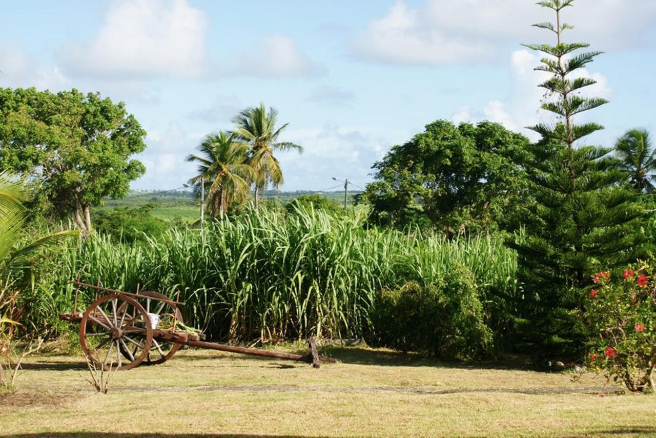 Au Jardin Debeausejour Guest house